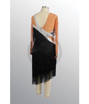 1035017 E895 SR