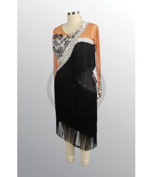 1035017 E895 SR