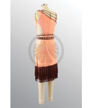 1498 D295 SR