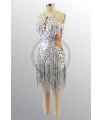 1072023 G495 SR