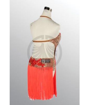 1393 D295 SR