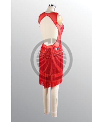 1429 D595 SR
