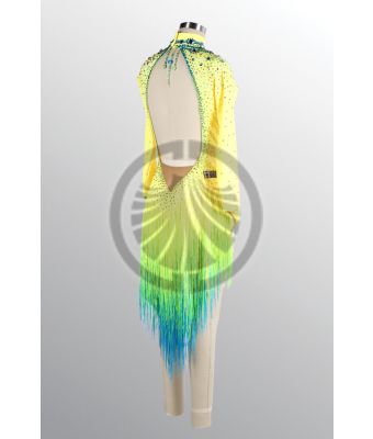 1433 D725 SR