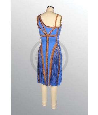 1618 D895 SR