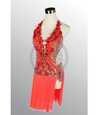 1393 D295 SR